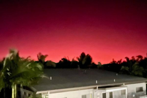 Mshells Whitsunday Escape Cannonvale
